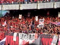 pb042022.jpg