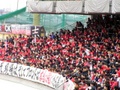 pb030084.jpg