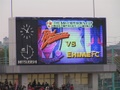pb030110.jpg
