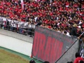 pb030111.jpg