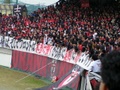 pb030142.jpg
