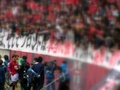 pb030156.jpg