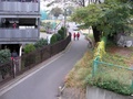 sany0241.jpg